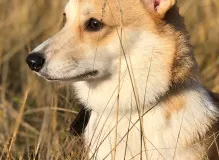 How Much Cycling Does it Take to Burn 2,000 Calories?