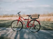 How to Cycle Creatine: A comprehensive guide to optimizing your creatine supplementation