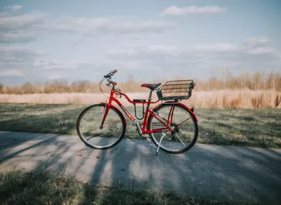 How to Cycle Creatine: A comprehensive guide to optimizing your creatine supplementation