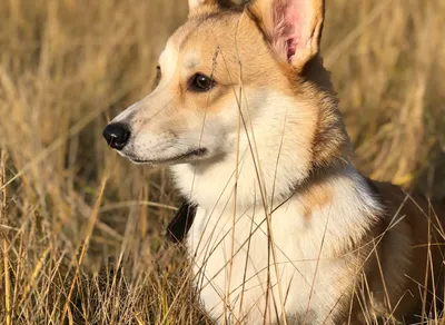 How Much Cycling Does it Take to Burn 2,000 Calories?